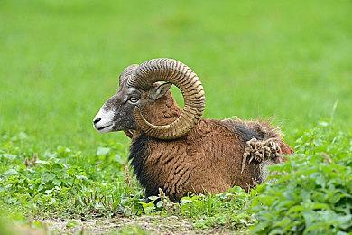 微软注册AI作曲专利 游戏音乐或将实现千人千面